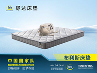 【现货】Serta舒达床垫 布利斯床垫 亲肤透气抗菌阻螨针织面料 1.8*2.0米 舒柔海绵贴合脊椎曲线 时尚灰色包边 边缘加固 平稳承托邦尼尔弹簧 床垫