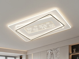 【包邮】 现代简约 铁+亚克力 客厅卧室系列 全屋套餐XY0117C黑-两室两厅-三色变光 黑色 两室两厅(含光源 LED贴片)（内蒙古，新疆，西藏，青海，甘肃、宁夏等地区不包邮 运费请咨询客服）