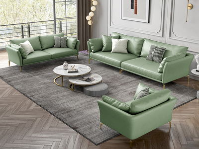  轻奢风格 超柔舒适 优质科技皮 1+2+4 沙发组合 